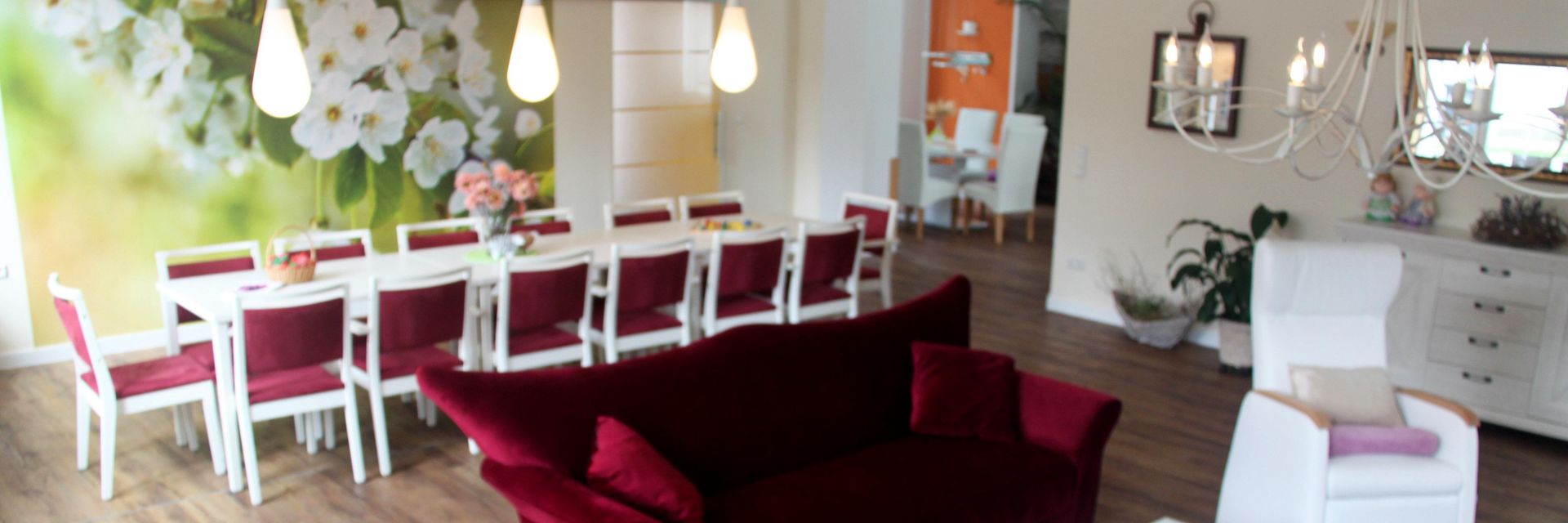 Tagespflege Drk Kv Kothen E V